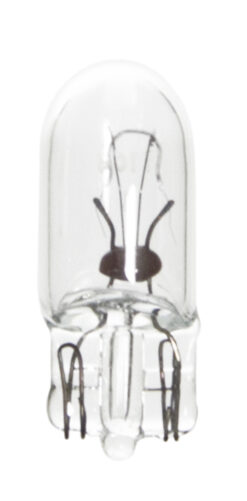 MINIATURE BULB 12v