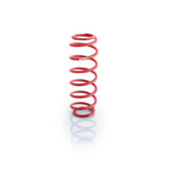Spring 12in Coil-Over 2.5in ID Ext Travel