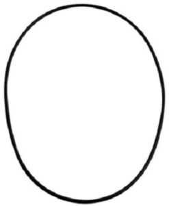 O-Ring Gear Cover Billet 2nd Gen