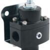 Fuel Pressure Regulator