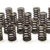 1.250 Valve Springs - SBC for 602 Crate Engine