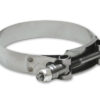 T-Bolt Clamps 3-1/2in Two Pack