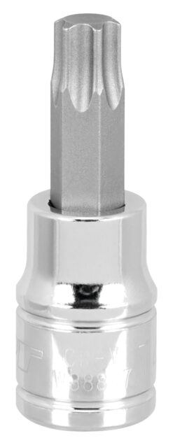 Torx Bit
