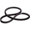 FAN BELTS