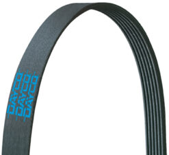POLY RIB K BELT