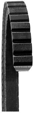 FAN BELTS