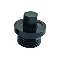 Inspection Plug Small 9/16 Hex