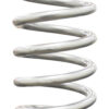 C/O Spring - 2.5in ID x 12in Silver