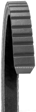 FAN BELTS