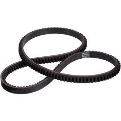 FAN BELTS