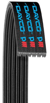 POLYRIB BELT